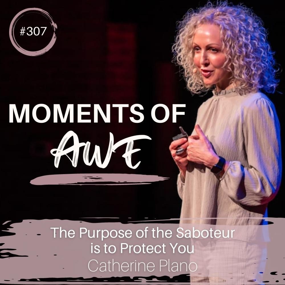 Episode 307: MOA – The Purpose of the Saboteur is to Protect You